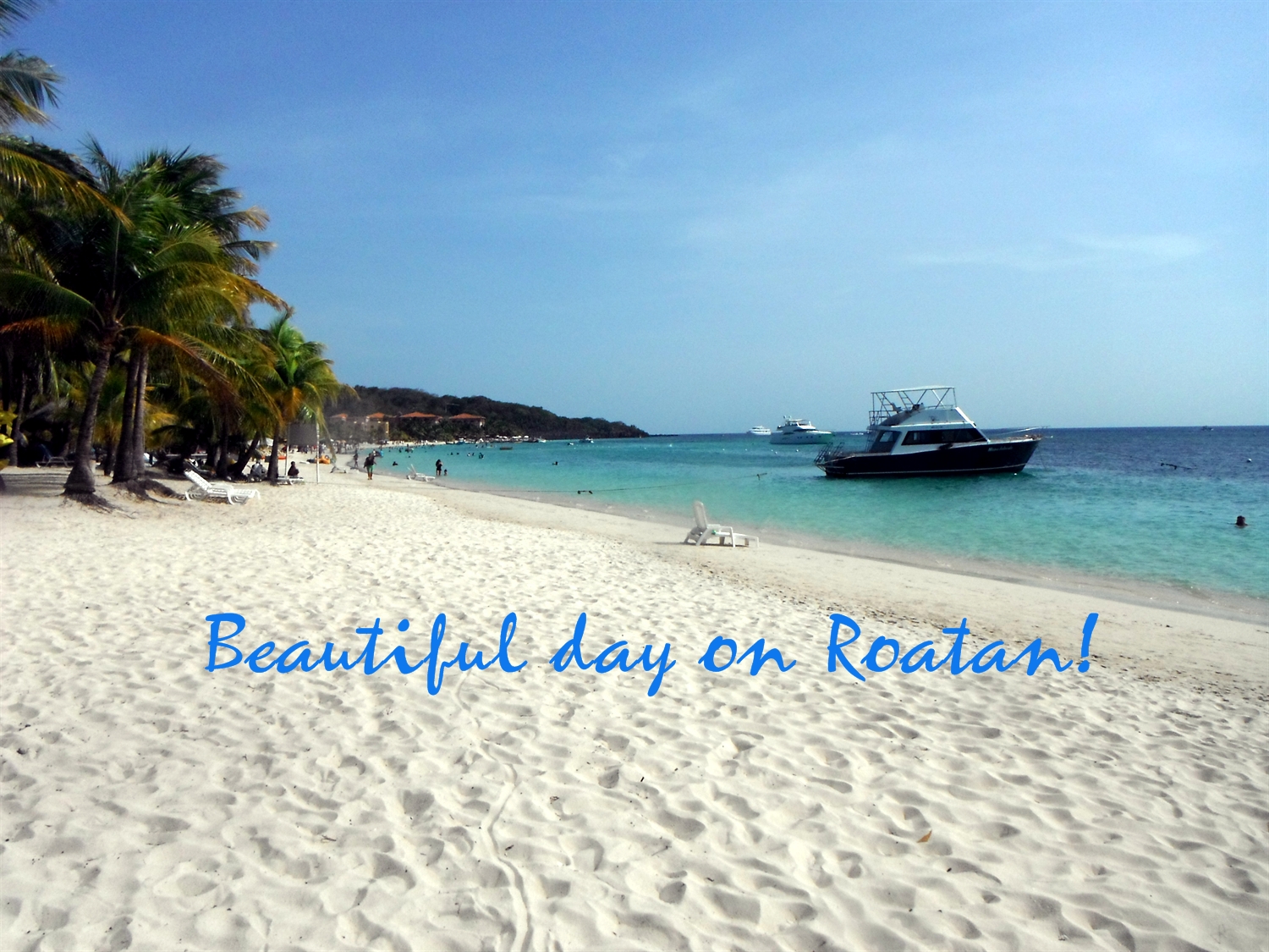 Roatan Salsa Trip